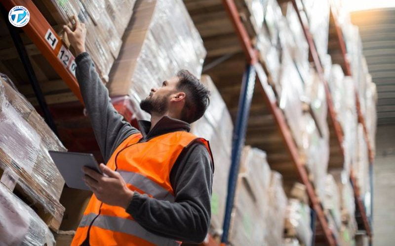 Thực tập sinh Logistics có thể phát triển lên nhiều vị trí khác nhau tùy theo năng lực và định hướng nghề nghiệp